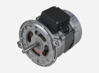 Электродвигатель для горелки Riello, 3013565