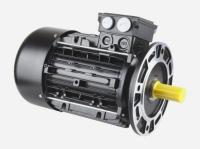 Электродвигатель RHE 151T (300 Вт) для горелки Riello