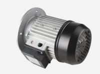 Электродвигатель для горелки Riello, 3014206R